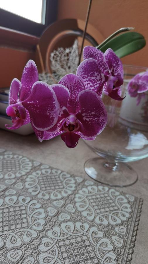 B&B Il Pasha' Capitana Ngoại thất bức ảnh